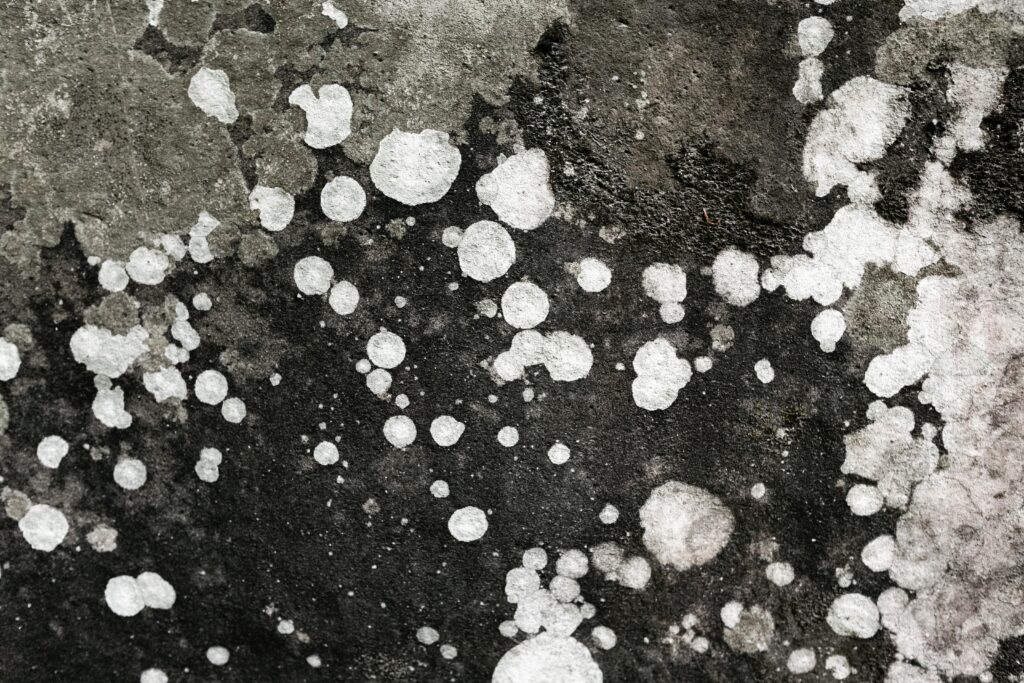 Functional Medicine for mold symptoms austin texas